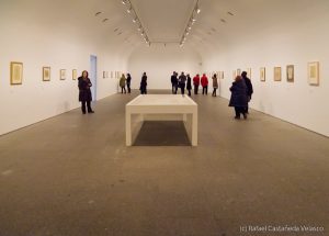 ‘Wols. El Cosmos y la Calle’ en el Museo Reina Sofía – Febrero de 2014